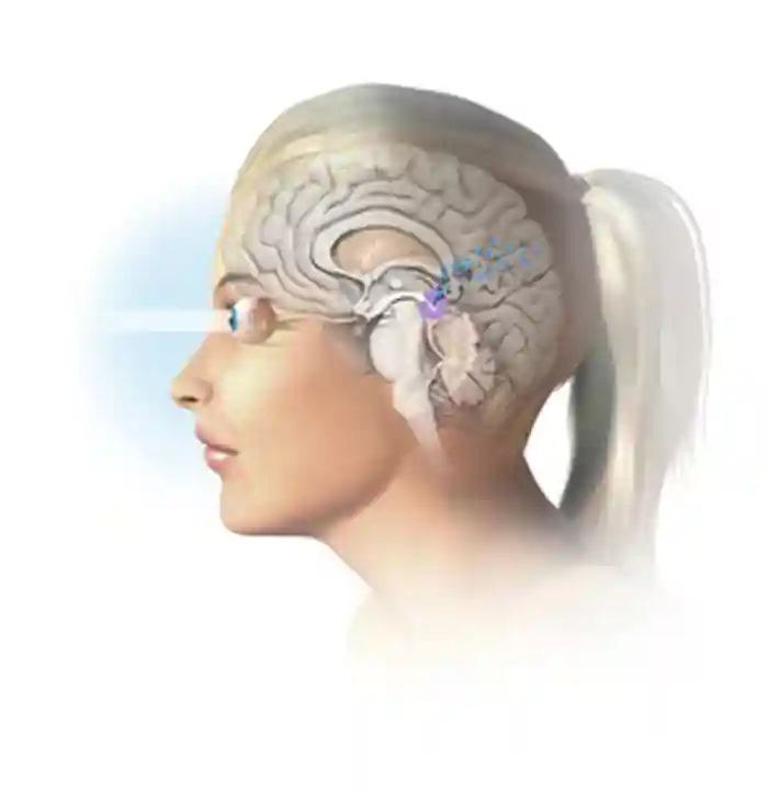 Melatonin is produced by various tissues in the body, although the major source is the pineal gland in the brain. Melatonin (blue) is produced naturally from the amino acid tryptophan, by the pineal gland (purple) at night-time. Night-time is detected by reduced light entering the eyes (left), and the arrow shows the melatonin secretion signal sent by the optic nerve to the pineal gland once darkness has fallen.