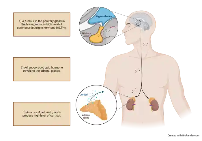 Figure 1 Final